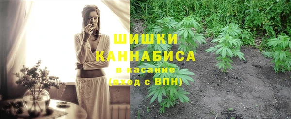 амф Бронницы