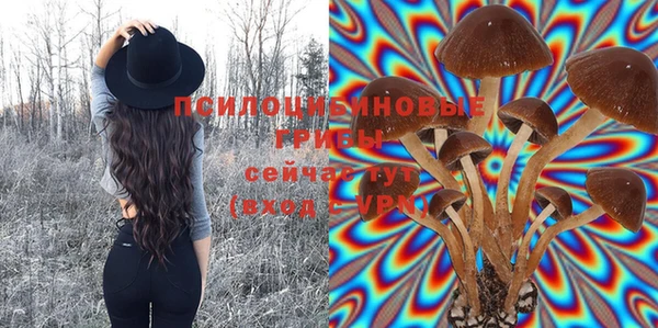 ALPHA PVP Бугульма